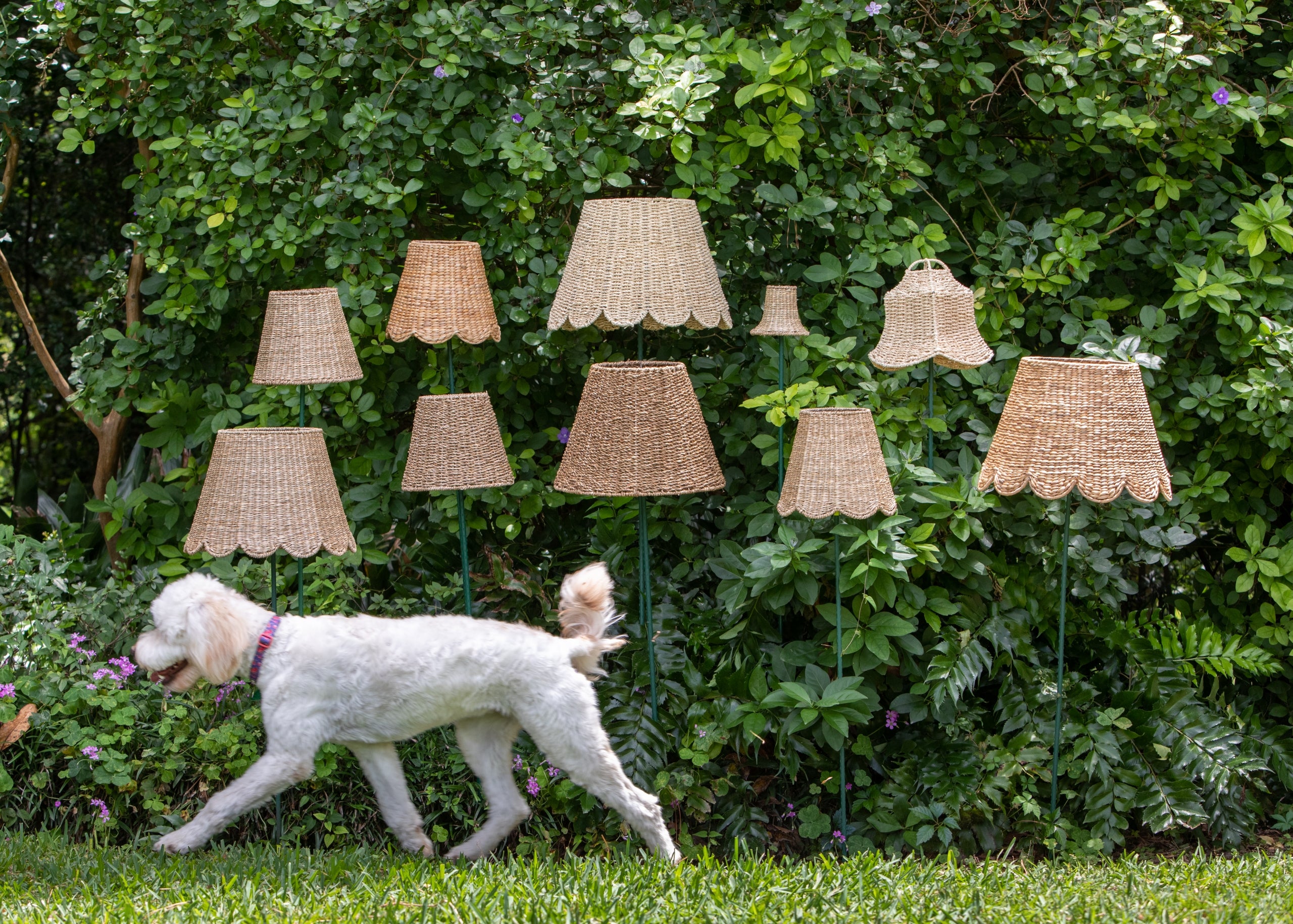 Maison Maison Design Scalloped Lampshade - Thumbnail 3
