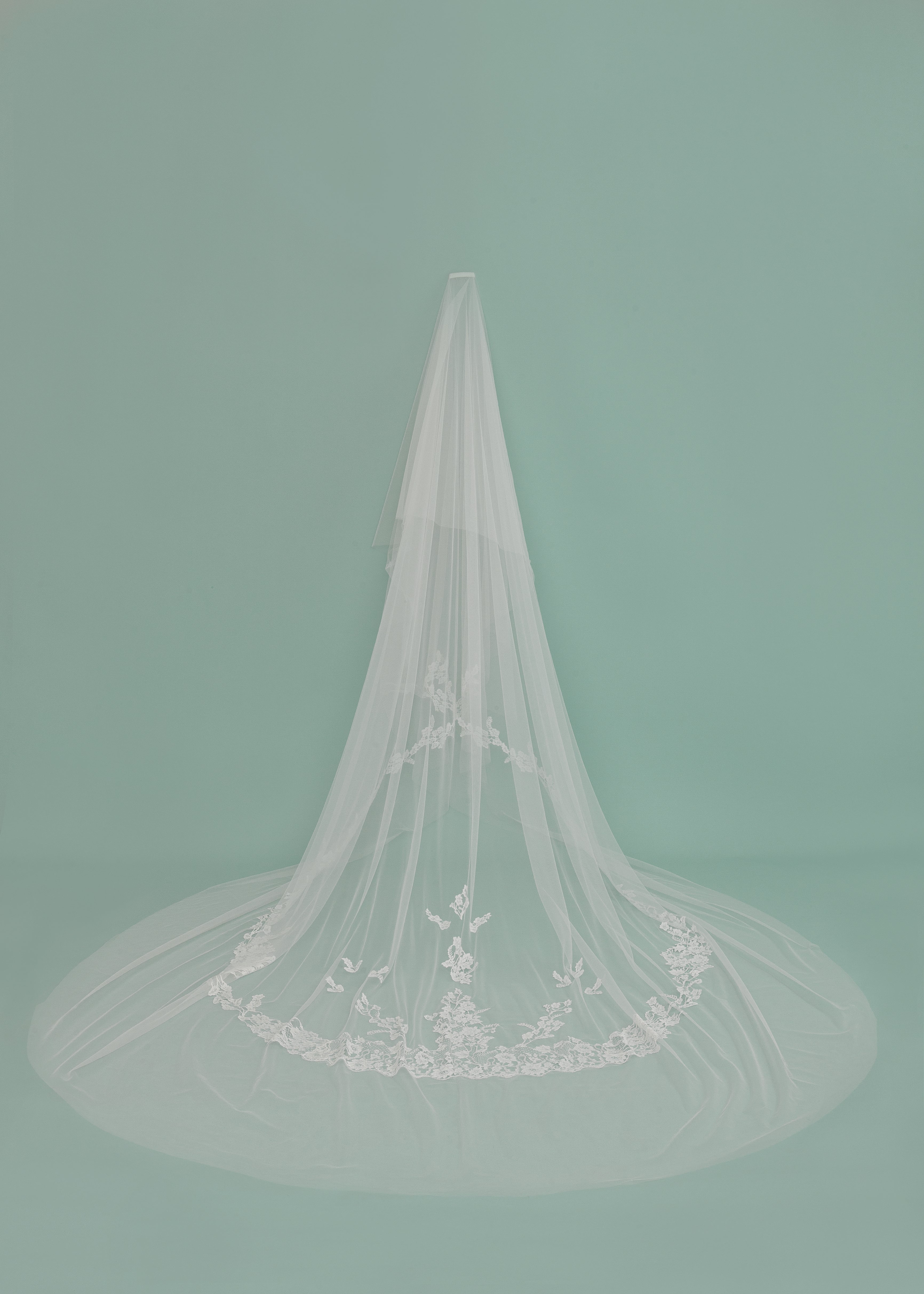 Donata Veil