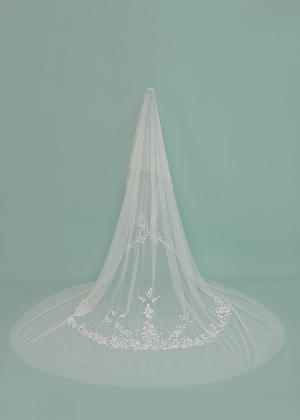 Donata Veil