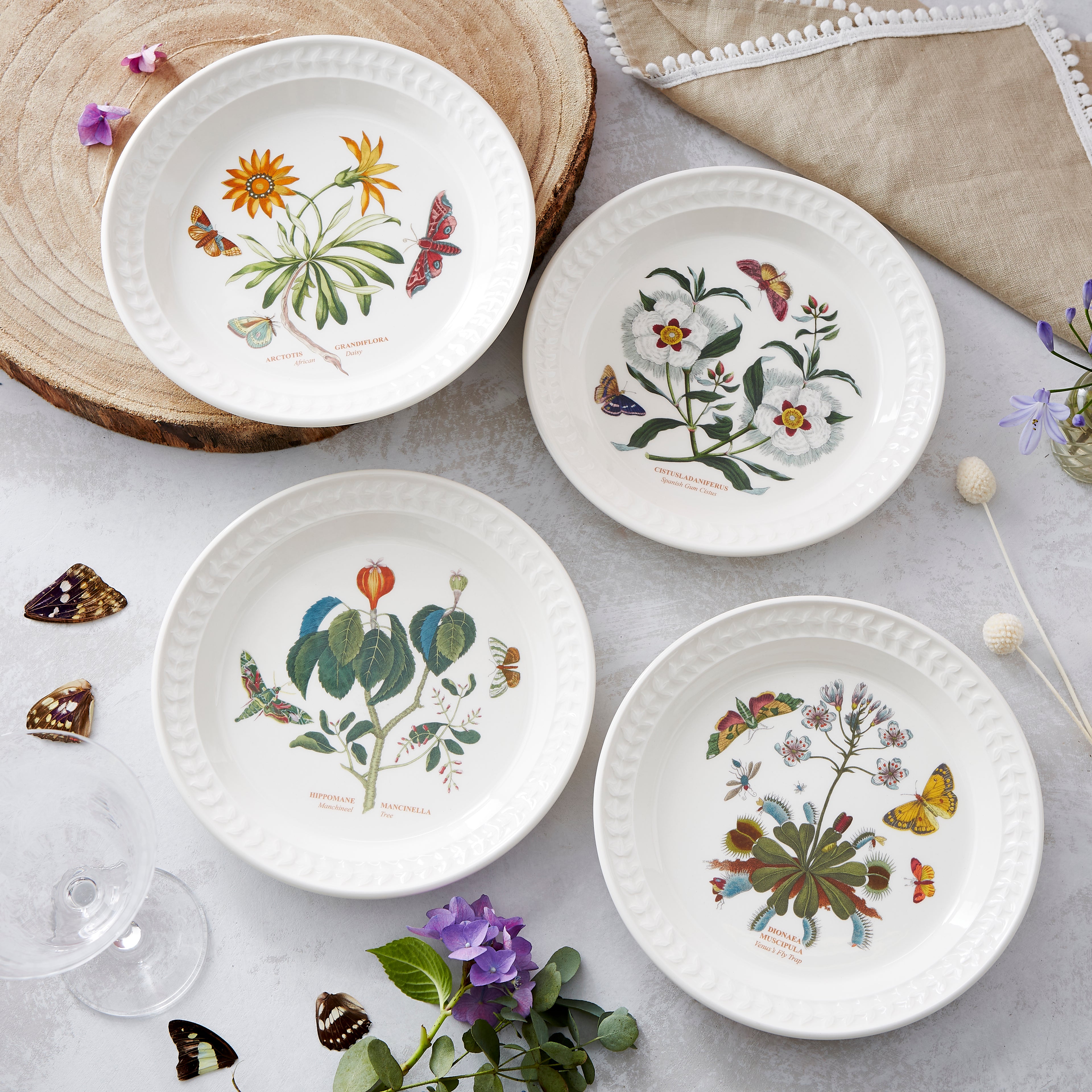 Botanic Garden Harmony Papilio Salad Plates Set of 4 (Assorted)