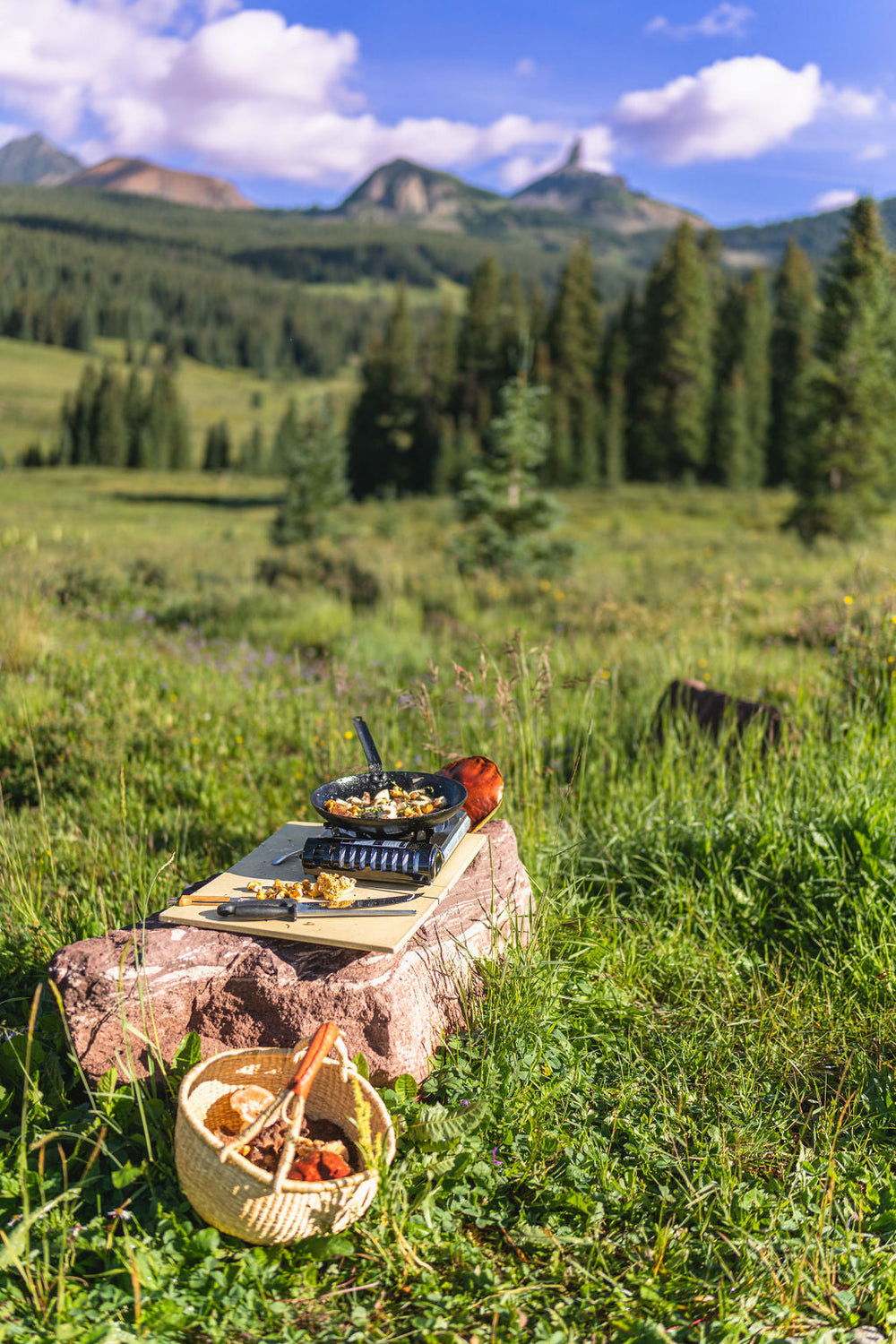 Skillet cooking on a portable camp stove set on a rock with a cutting board and basket of foraged mushrooms in a mountain meadow