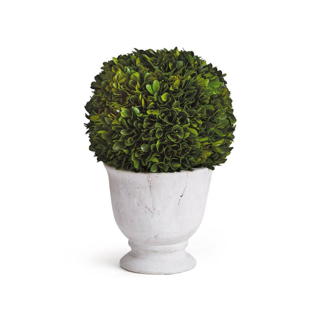 Boxwood Ball Topiary, large