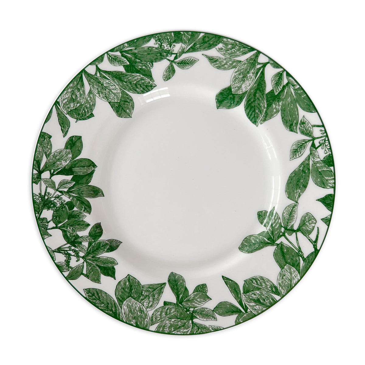Overhead view of Arbor Green Dinner Plate showcasing hand painted leafy branches on creamy white porcelain with white background