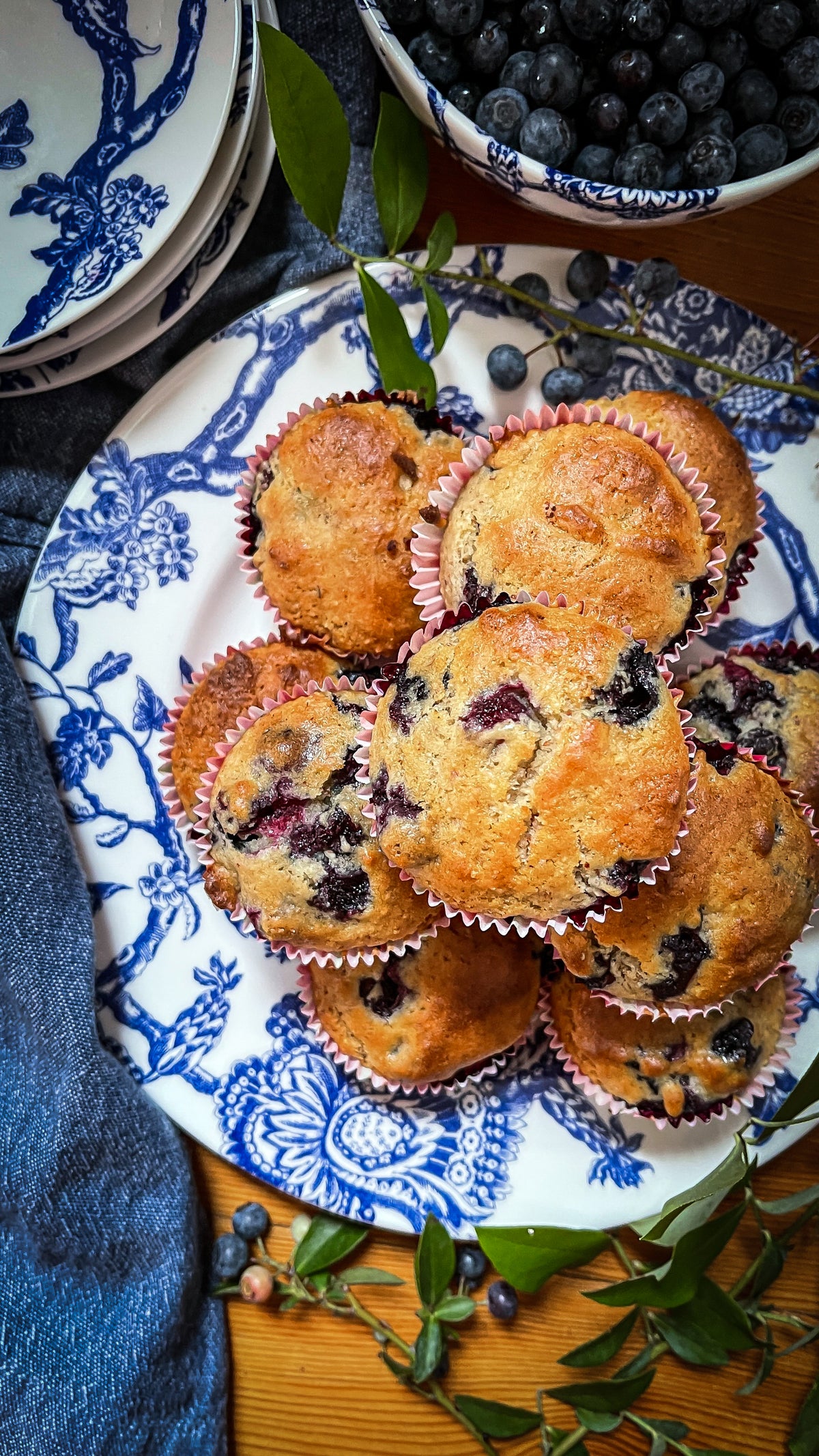 Close-up view of Arcadia Rimmed Dinner Plate Blue showcasing blue colonial floral rim on white porcelain with muffins and blueberries