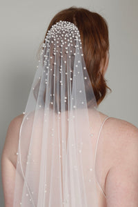 Audre Veil