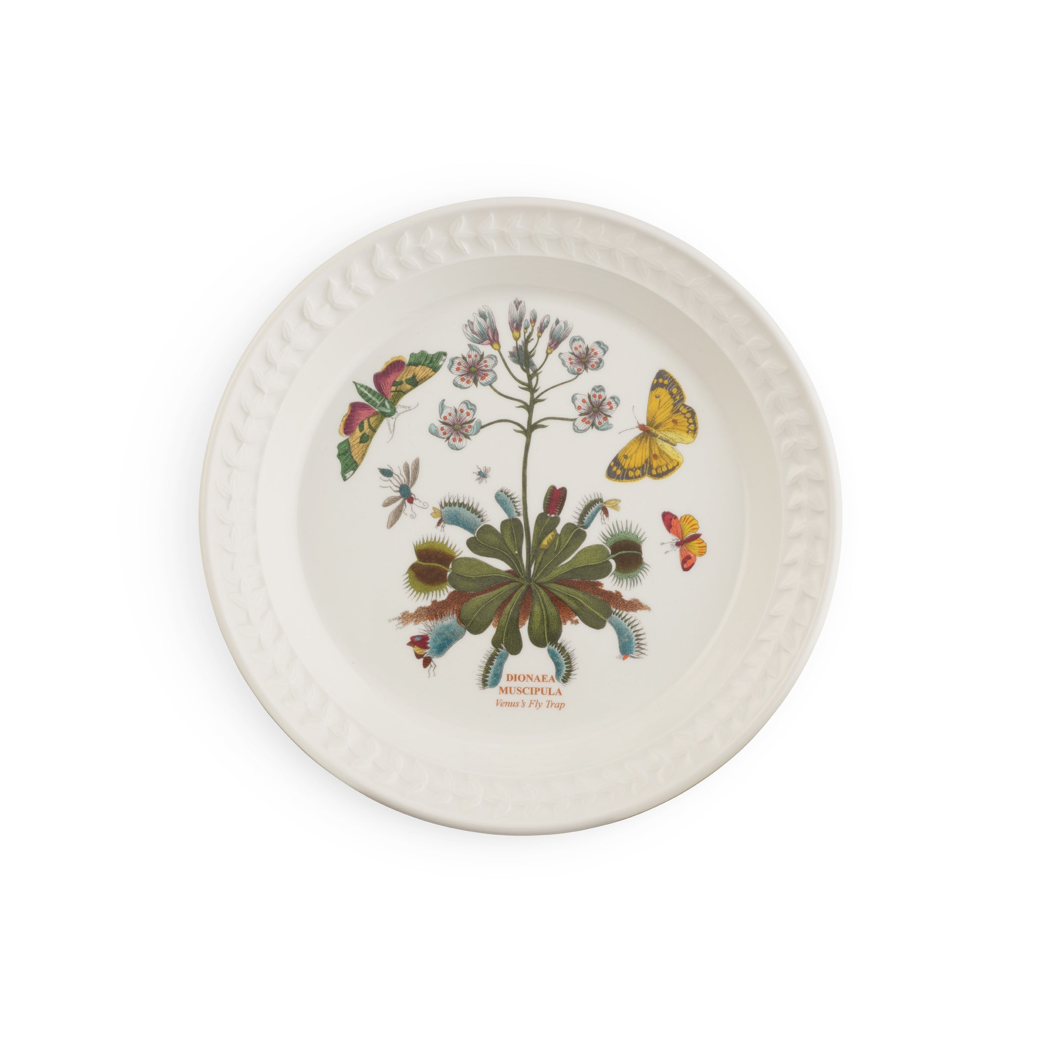 Botanic Garden Harmony Papilio Amber 8.5 Inch Salad Plate (Venus Fly Trap)