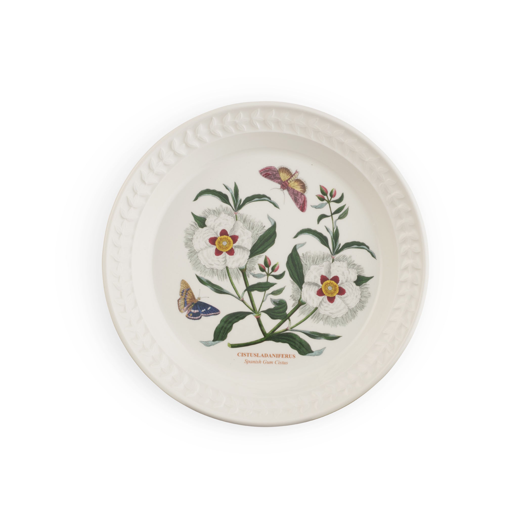 Botanic Garden Harmony Papilio Amethyst 8.5 Inch Salad Plate (Spanish Gum Cistus)