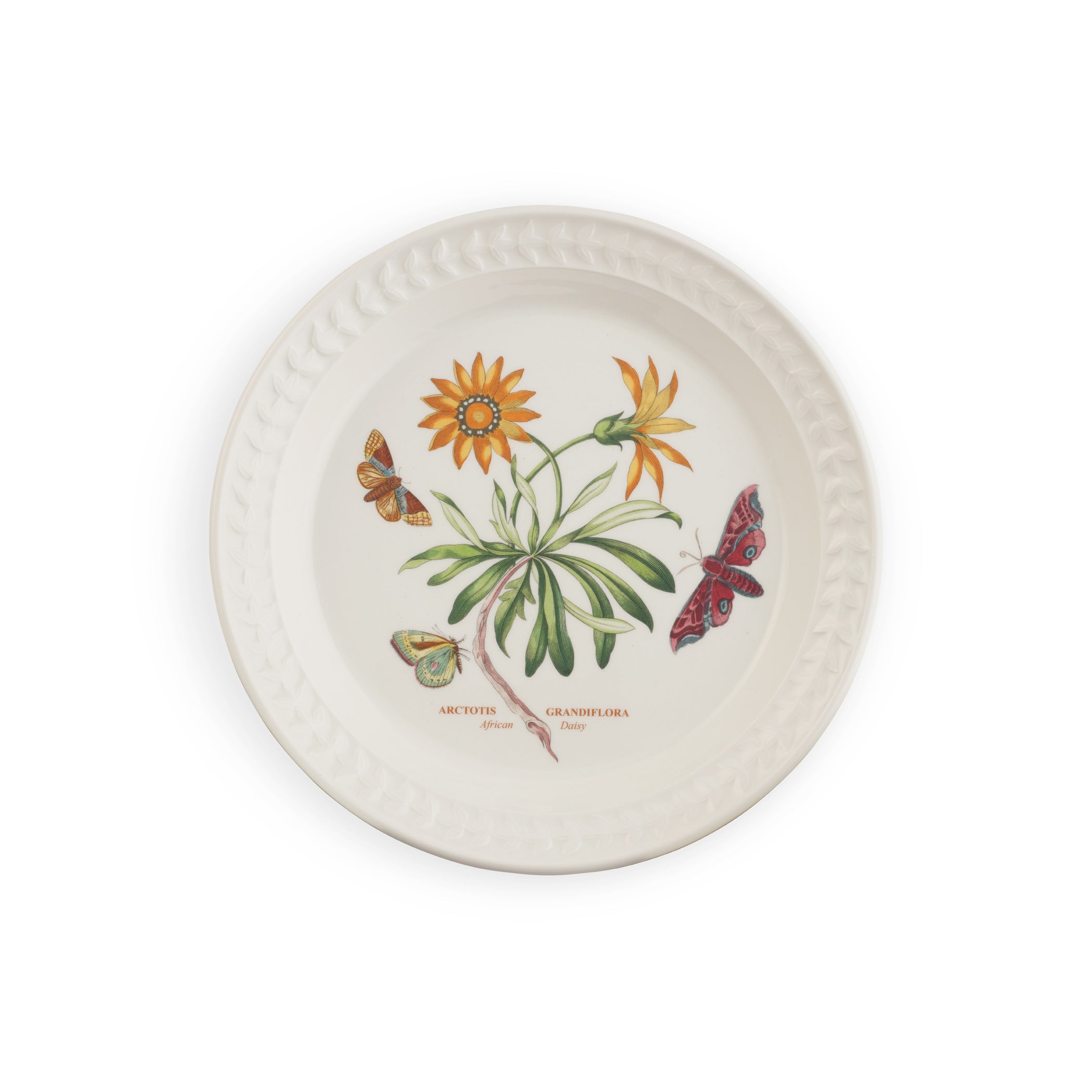 Botanic Garden Harmony Papilio Opal 8.5 Inch Salad Plate (African Daisy)