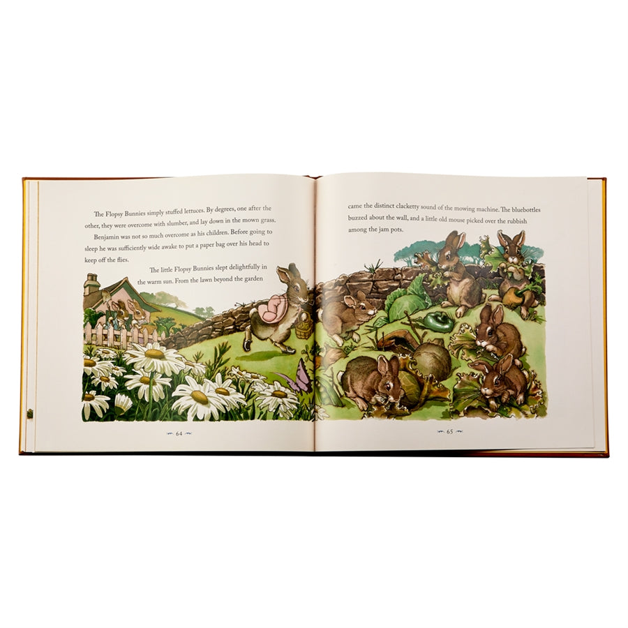 The Classic Tale of Peter Rabbit in Bonded Leather