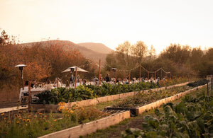 The Lodge at Blue Sky, 3-Night Stay