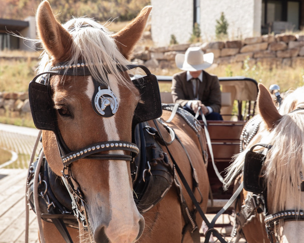 The Lodge at Blue Sky, 3-Night Stay