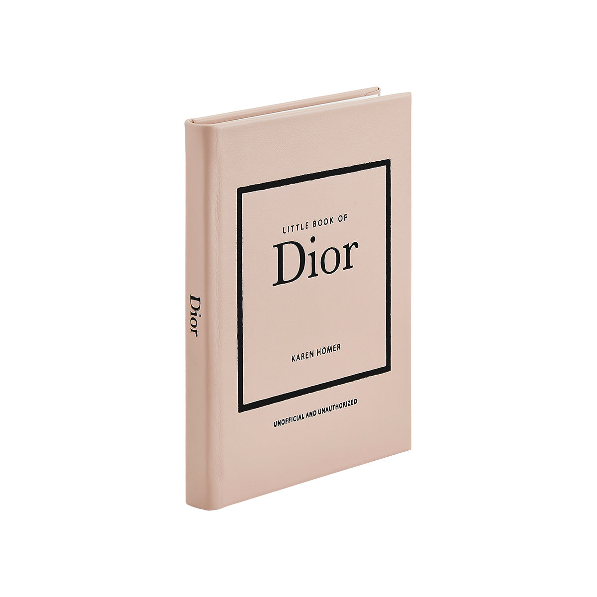 Angled view of Little Book of Dior in bonded leather showcasing its nude cover and black bordered Dior title on a white background
