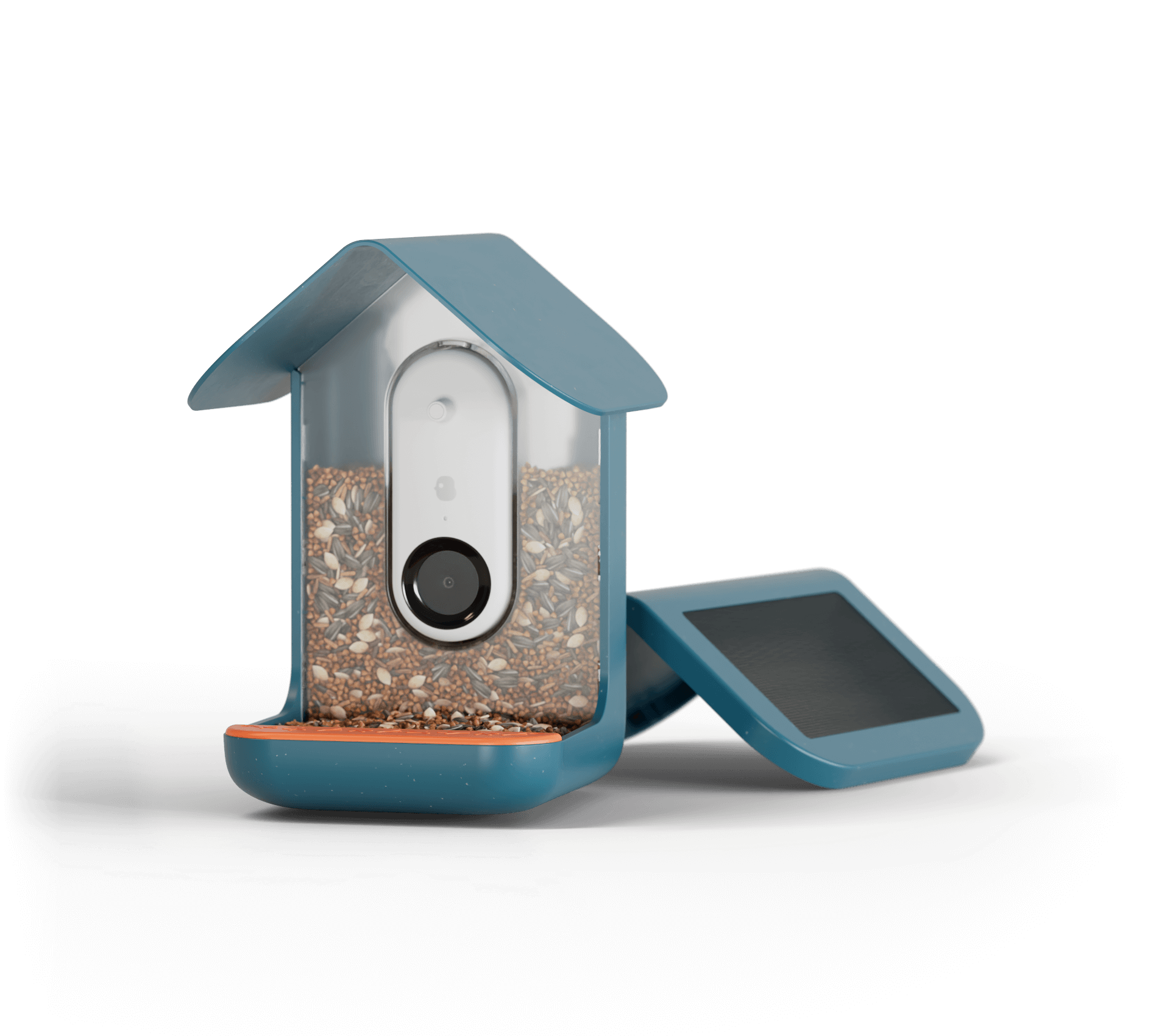 Bird Buddy with Solar Roof