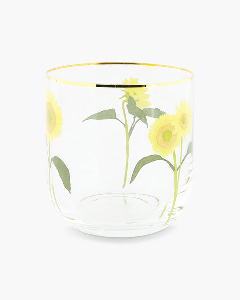 Bernadette Set of 6 Water Glasses