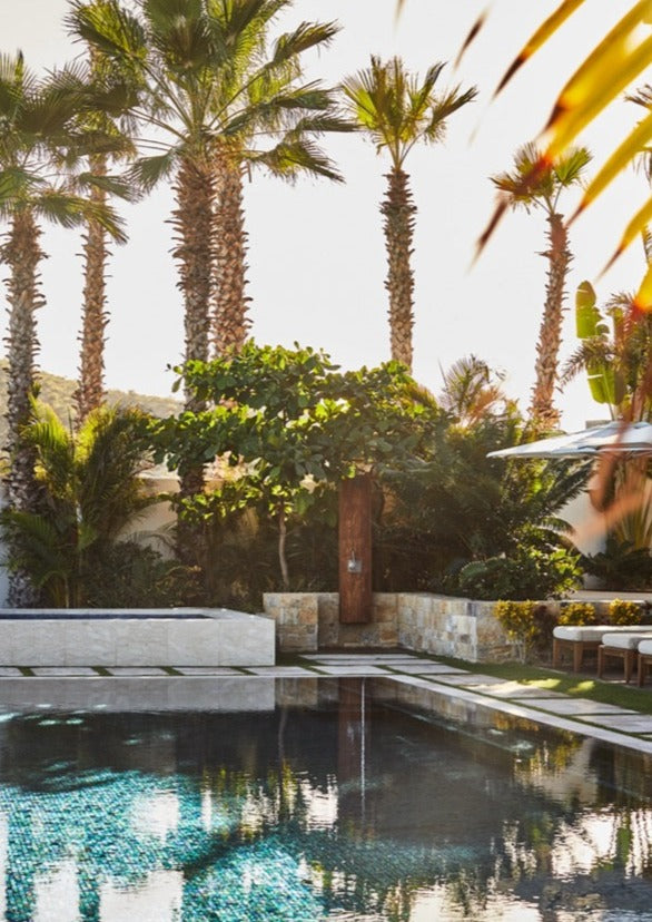 Resort pool and lounge area with palm trees and outdoor shower at Chileno Bay Los Cabos