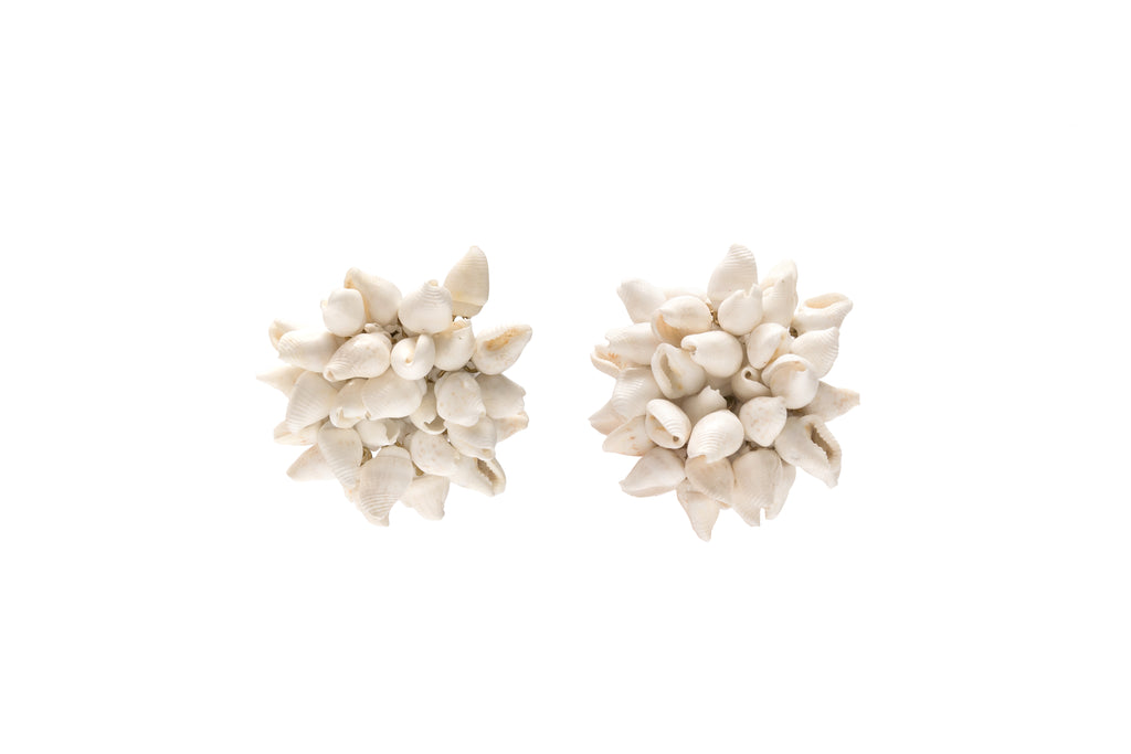 Seashell Natural Earrings