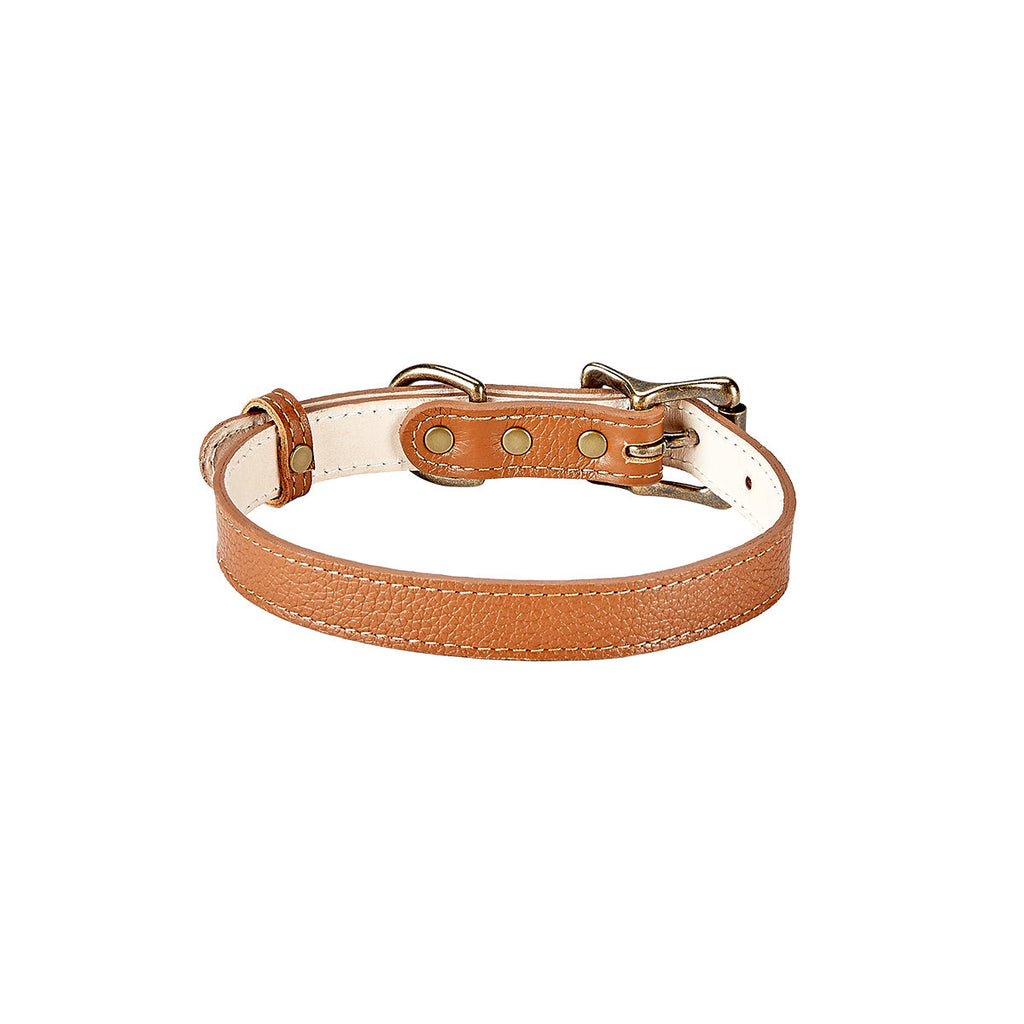 Pebble Grain Leather Dog Collar