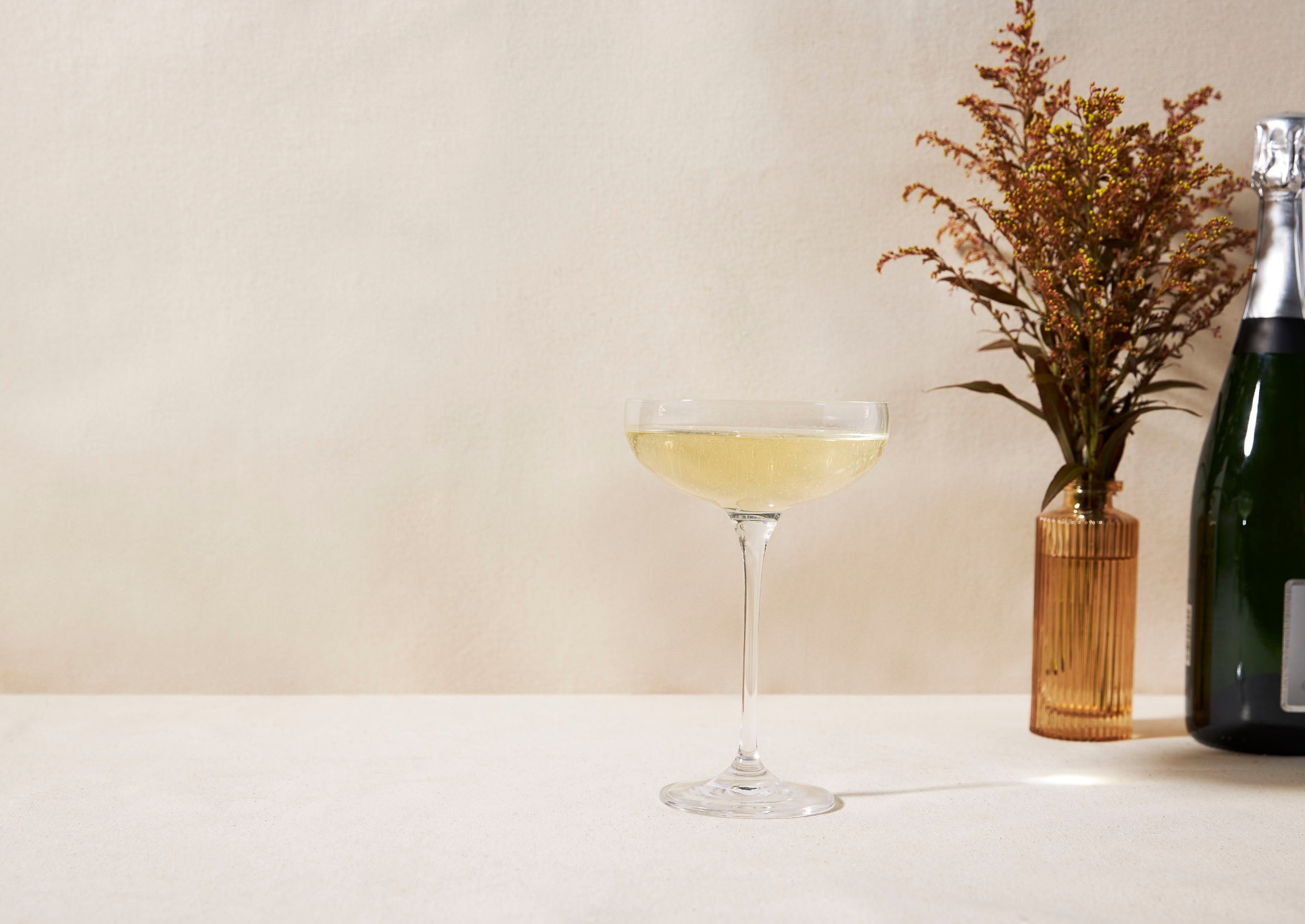 Classic Champagne Coupe