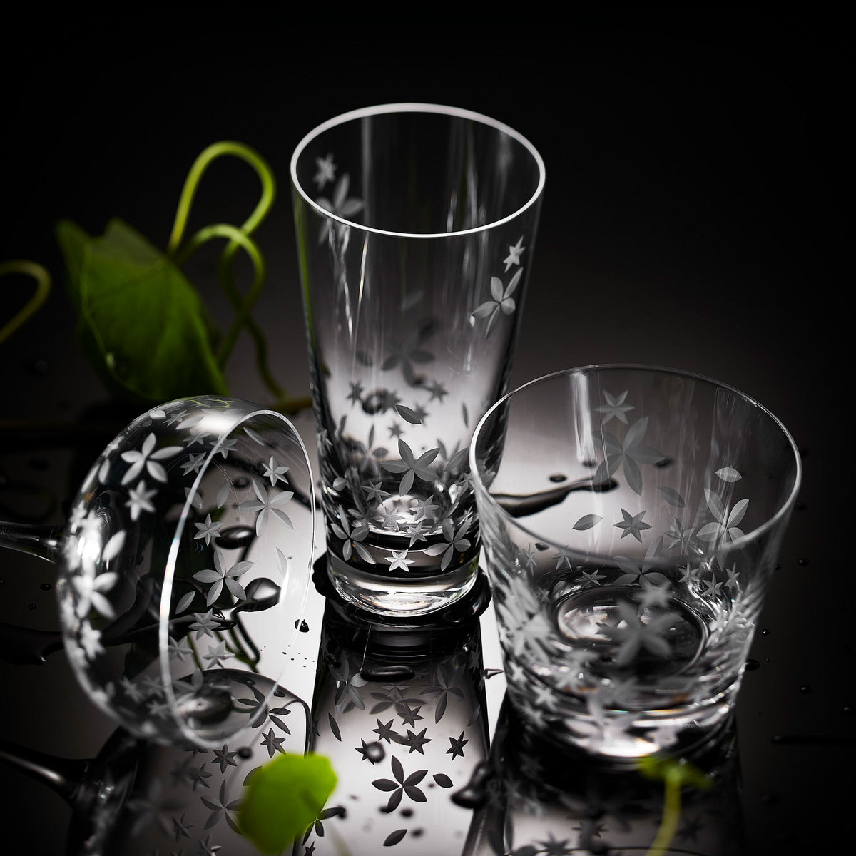 Etched crystal Chatham Floral Collection, including coupe cocktail, highball and tumbler glasses from Caskata.