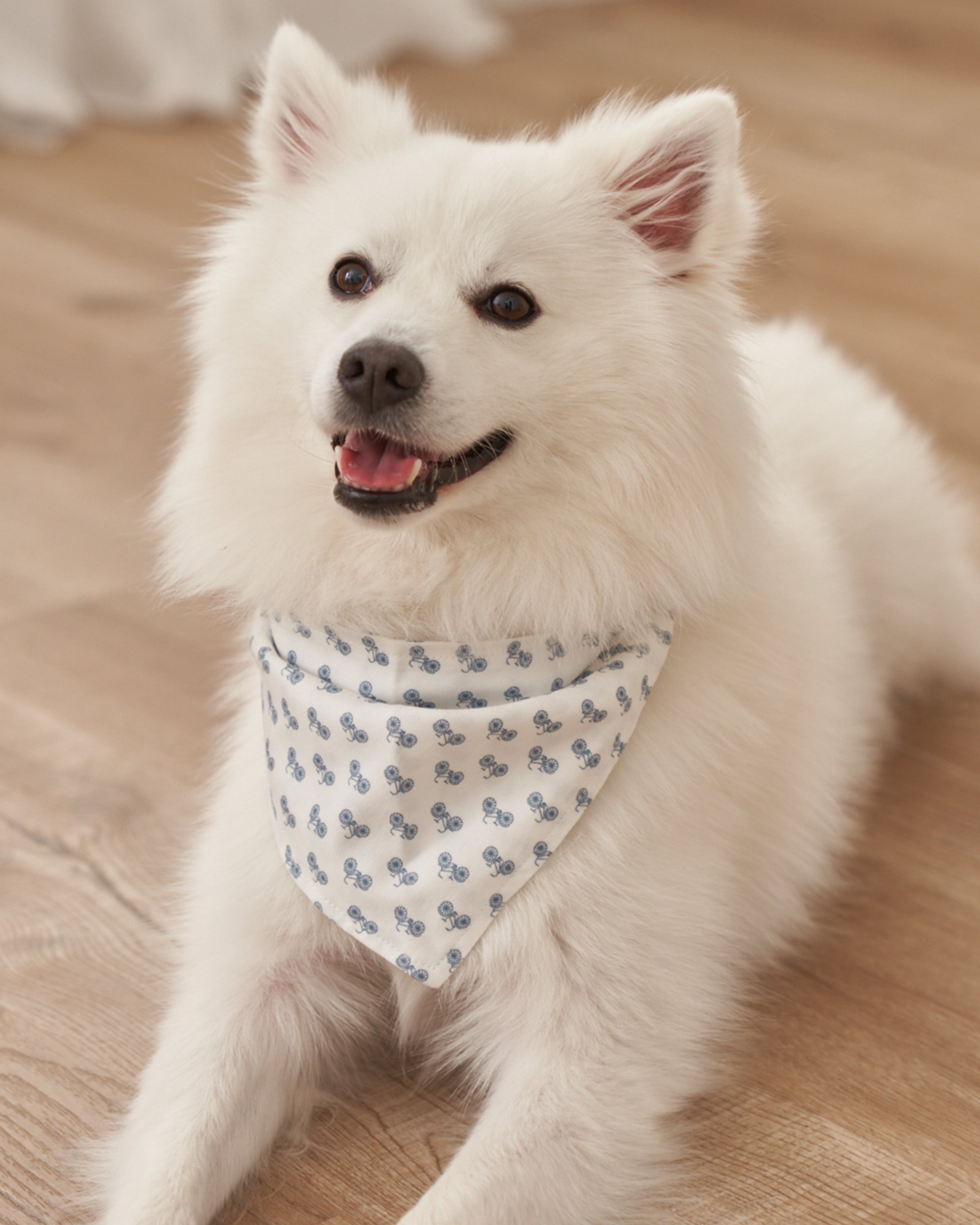 Navy Gingham Dog Bandana | Petite Plume | Over The Moon