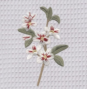 Cotton Waffle Weave Guest Towel