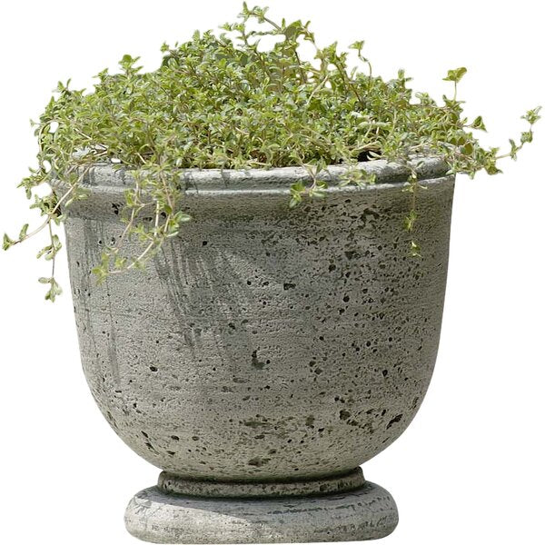 Campania International