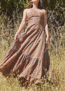 Isabel Maxi Dress in Tawny Multicolor Floral