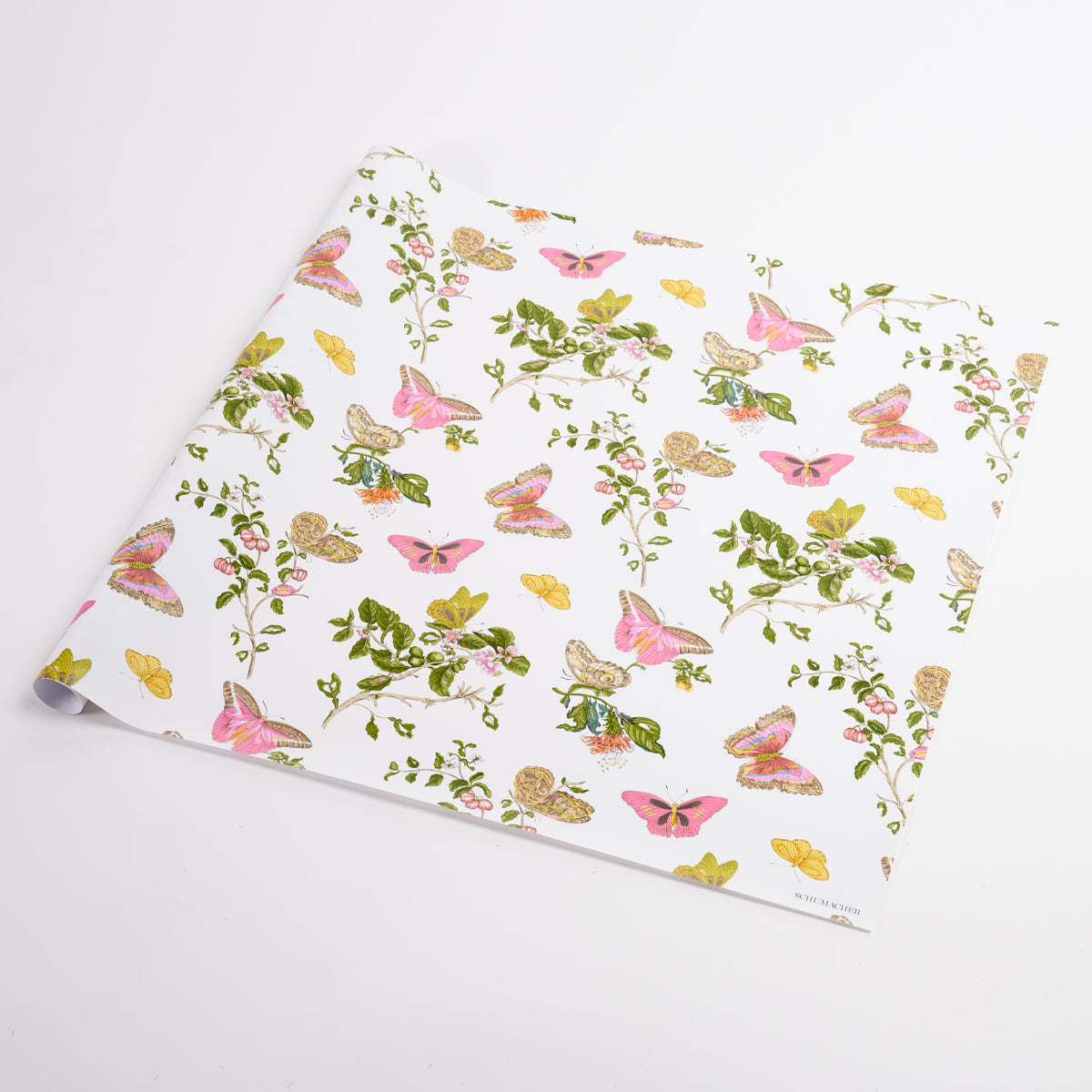 Baudin Butterfly Wrapping Paper In Blush