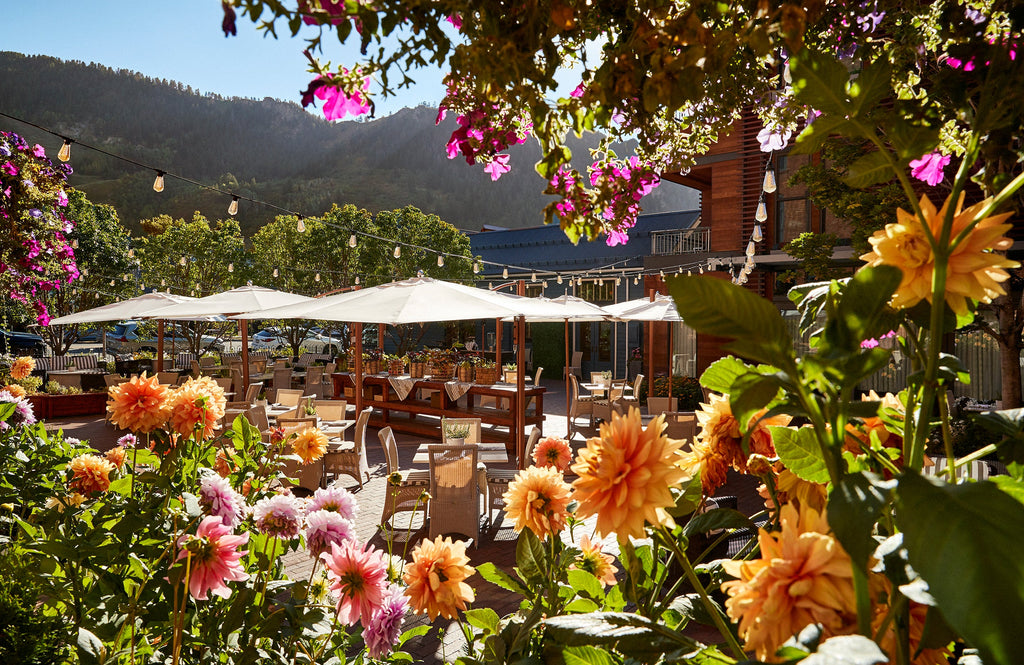 Hotel Jerome and Madeline Hotel Colorado, 4-Night Stay