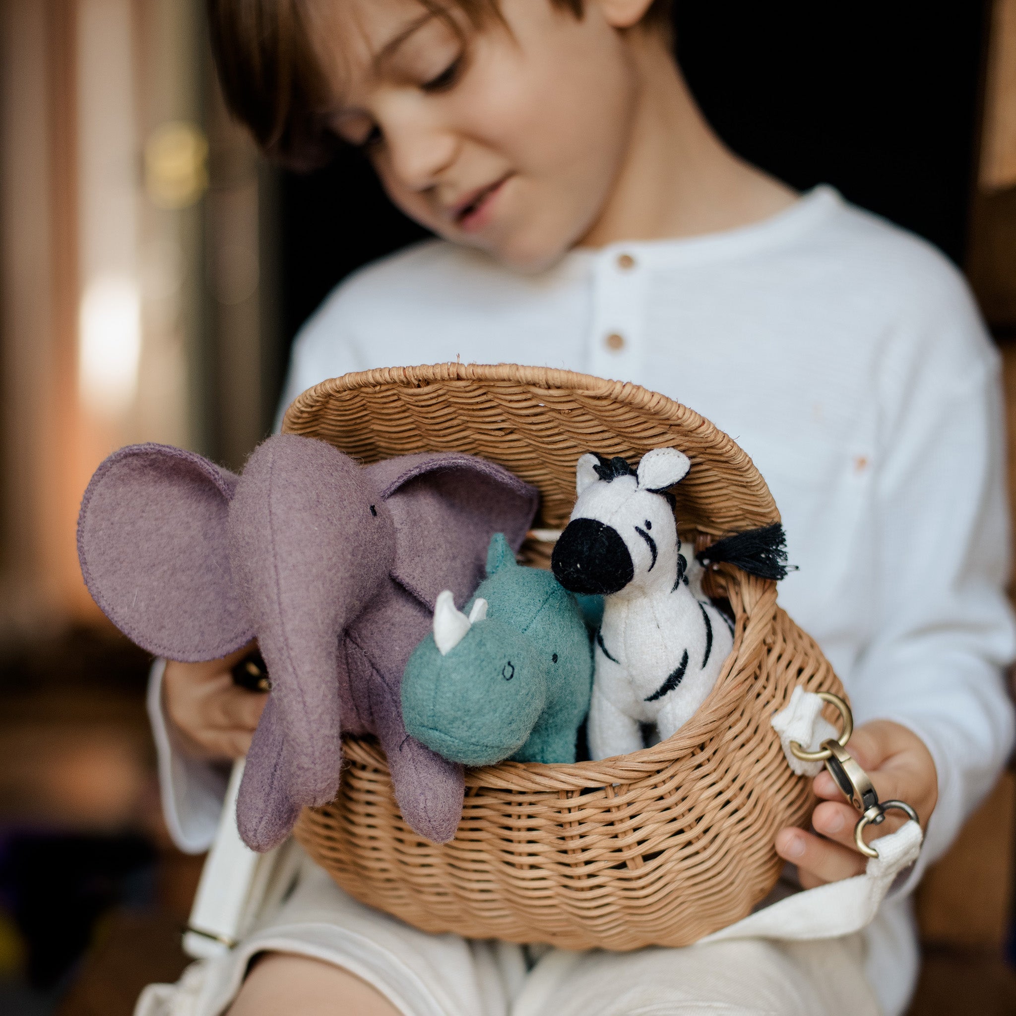 Holdie Folk Set in Safari Animals