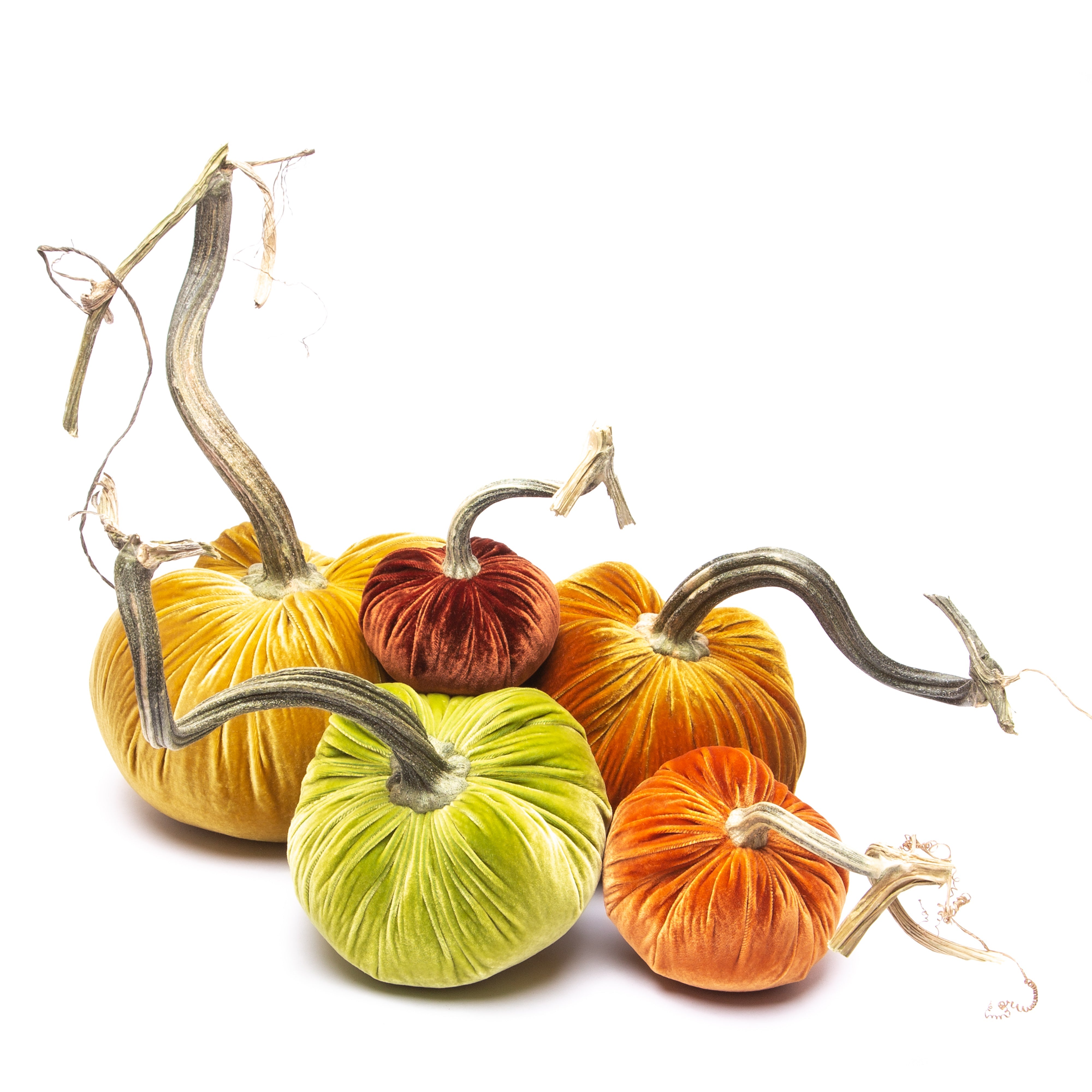 Pumpkin Bundle in Paradise
