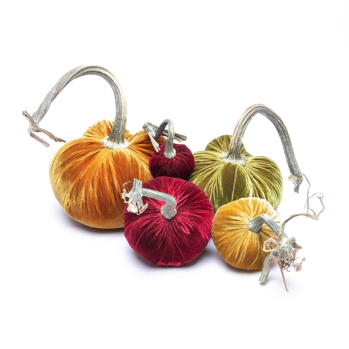 Pumpkin Bundle in Holiday