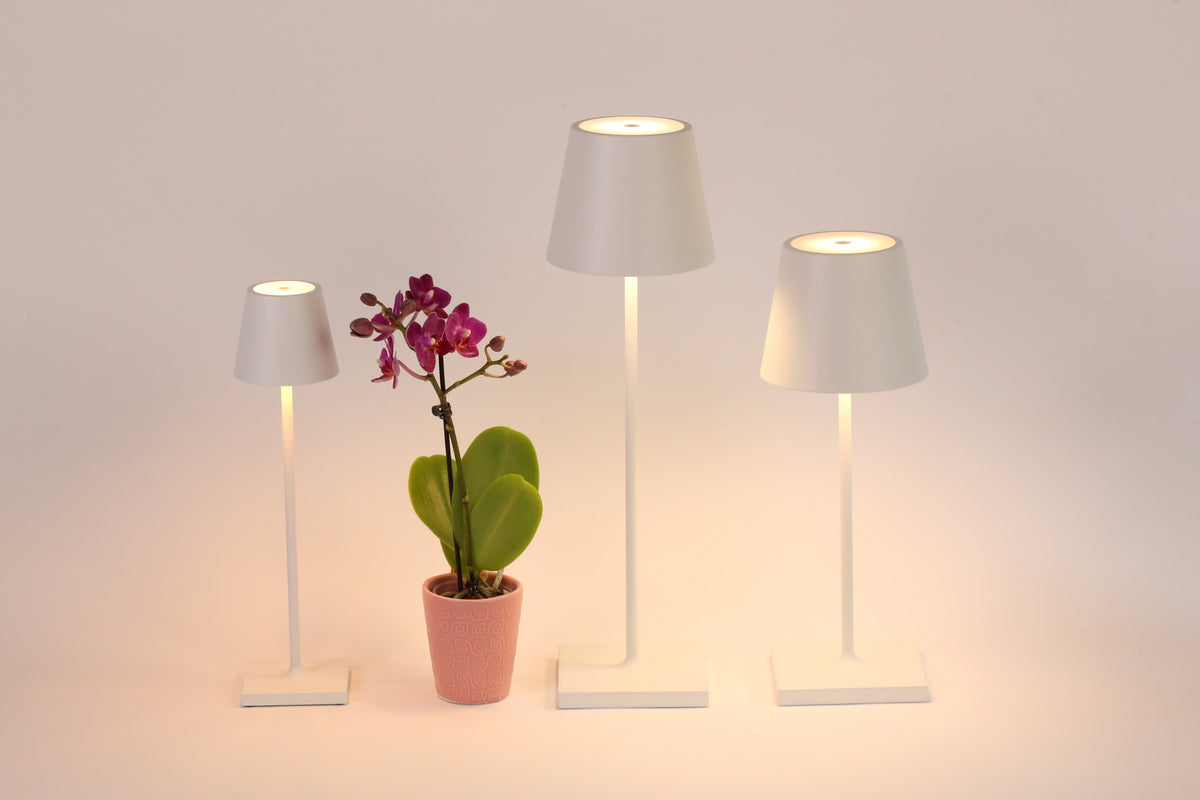 Front view of three Poldina Pro Micro white LED table lamps at different heights beside a small pink potted orchid