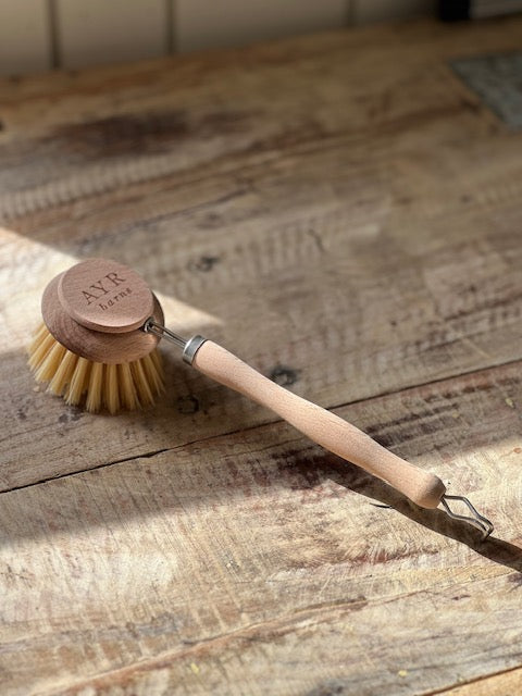 Beech Dish Brush