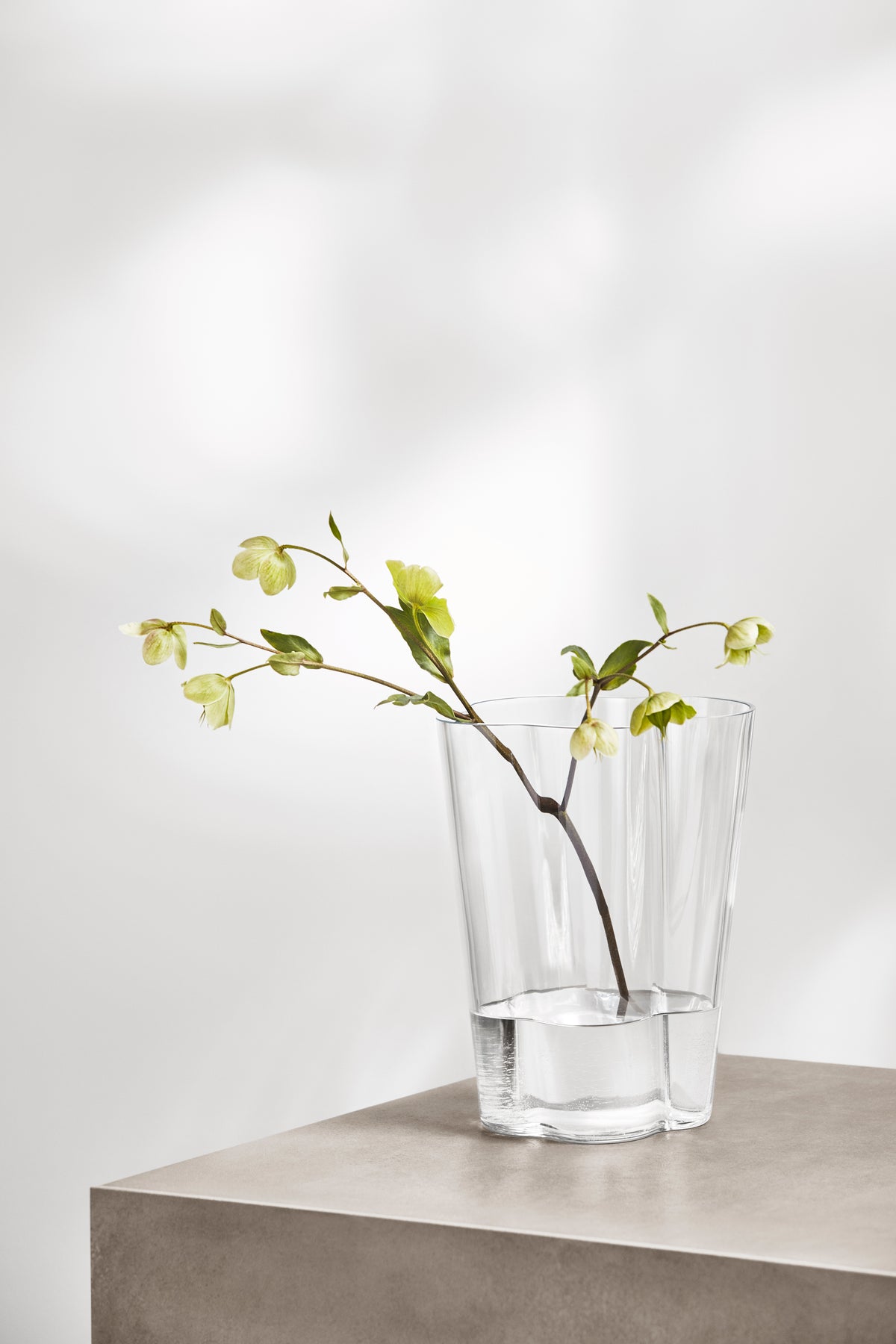Aalto Vase in Clear