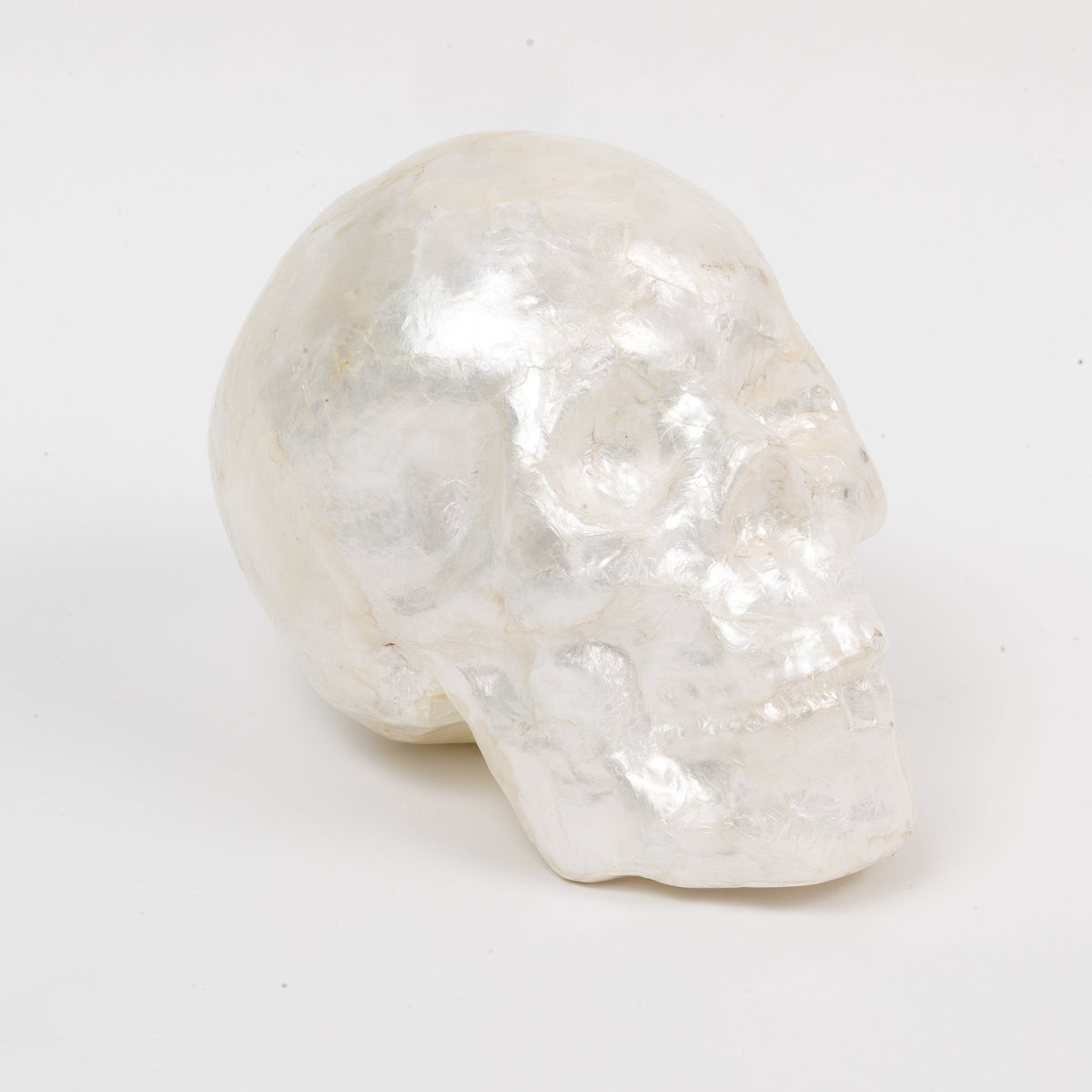 Capiz Skull in Pearl