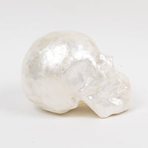 Capiz Skull in Pearl