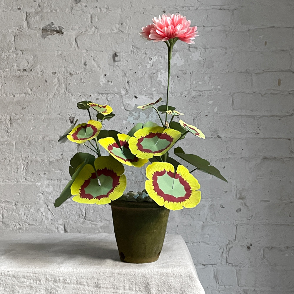 The Green Vase Potted Geranium