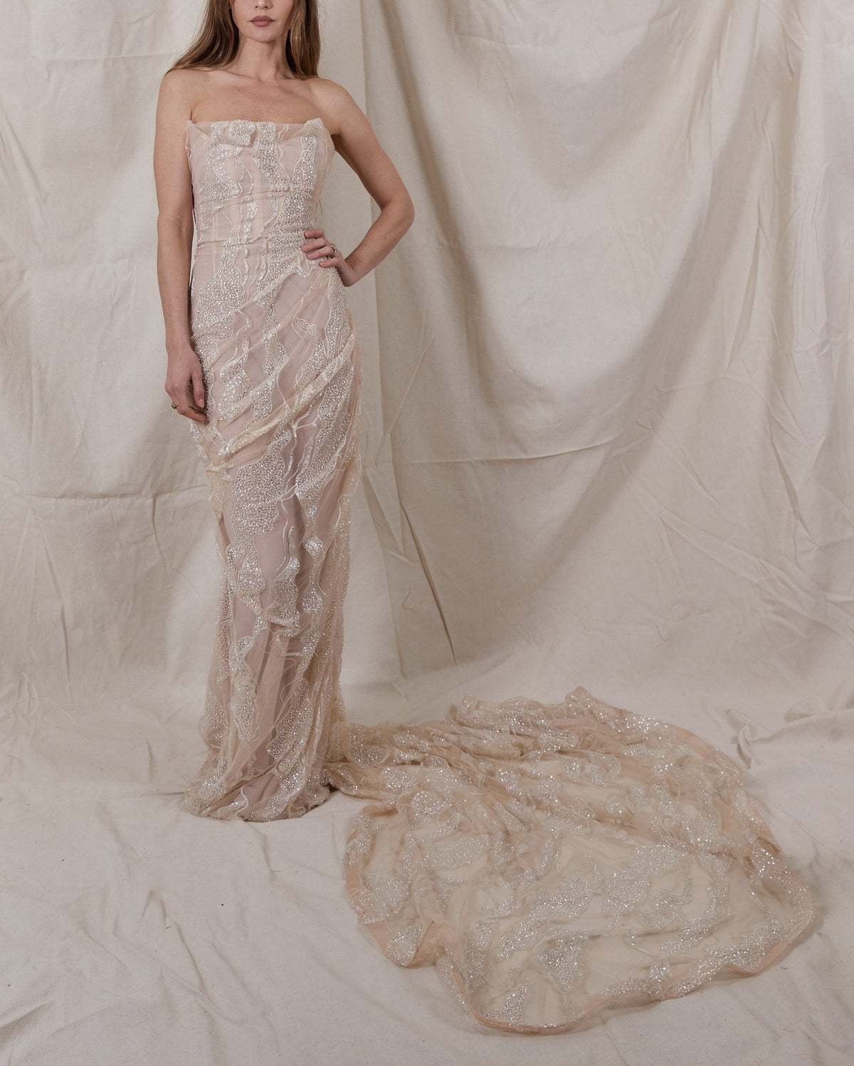 Court Embroidered Gown