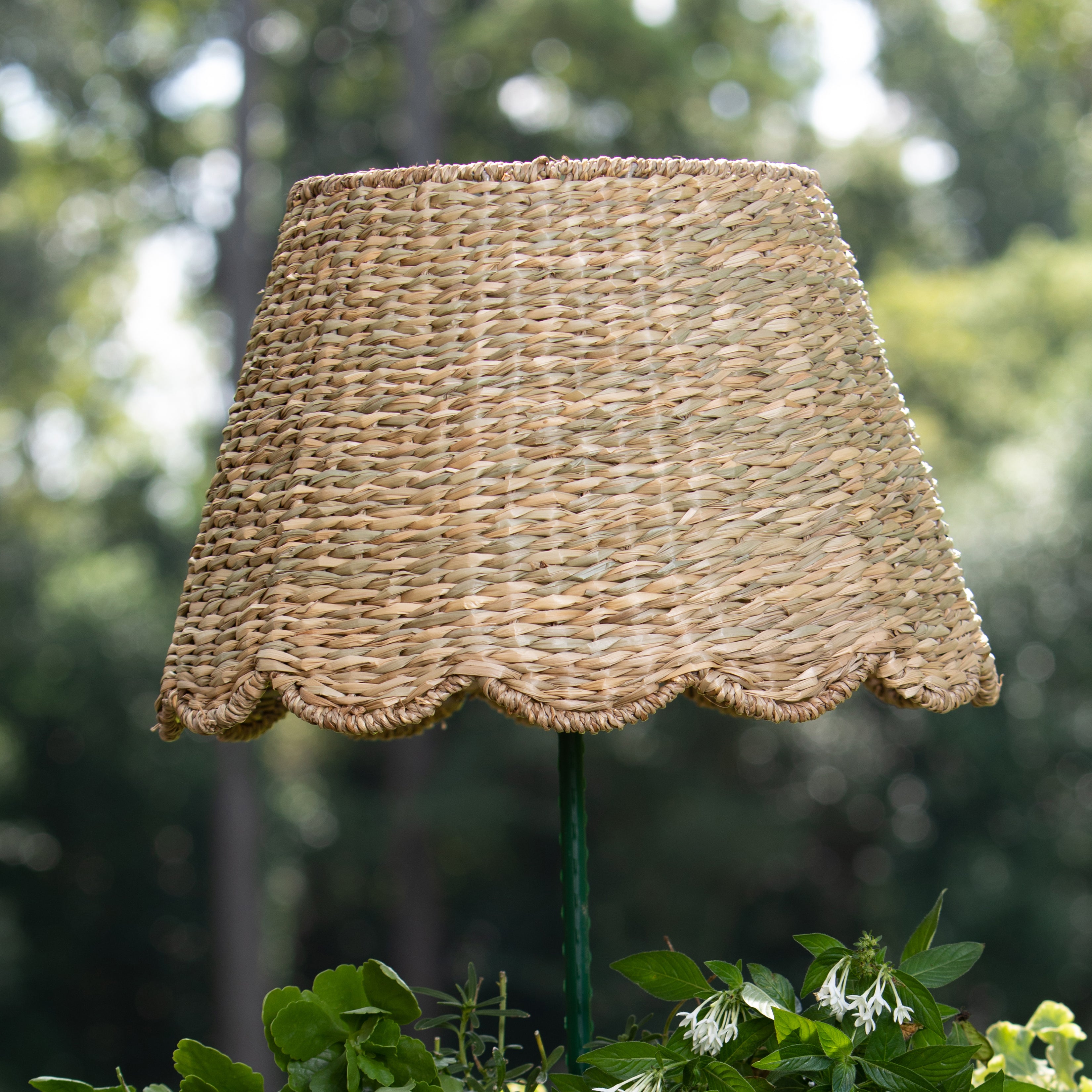 Scalloped Lampshade in Seagrass