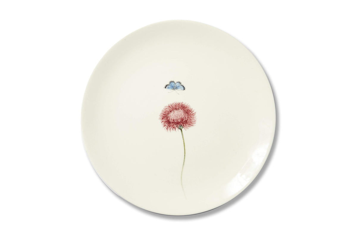 Bloom Plates, Set of 12