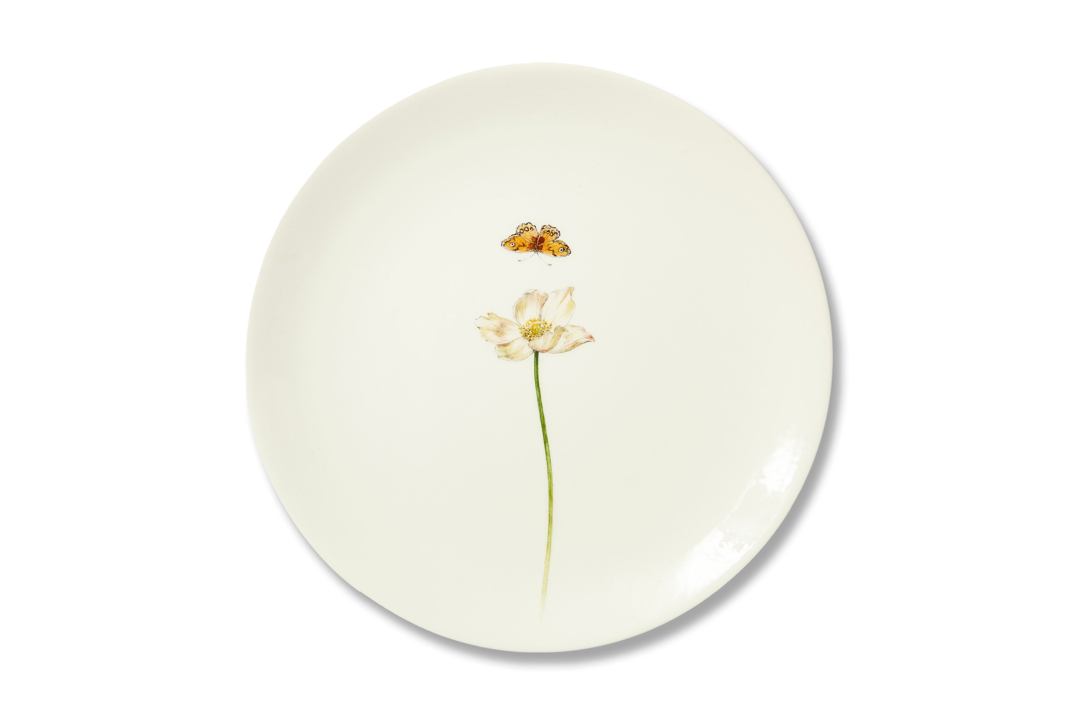 Bloom Anemone Hupehensis Plate
