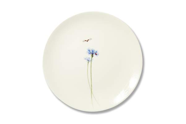 Bloom Centaurea Cyanus Plate