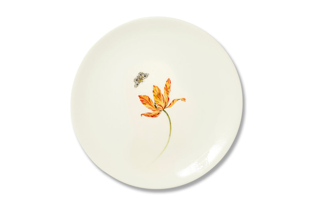 Bloom Tulipae Variae Plate