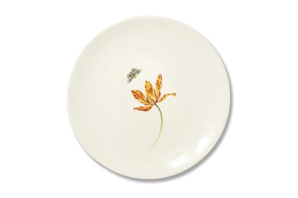 Bloom Tulipae Variae Plate