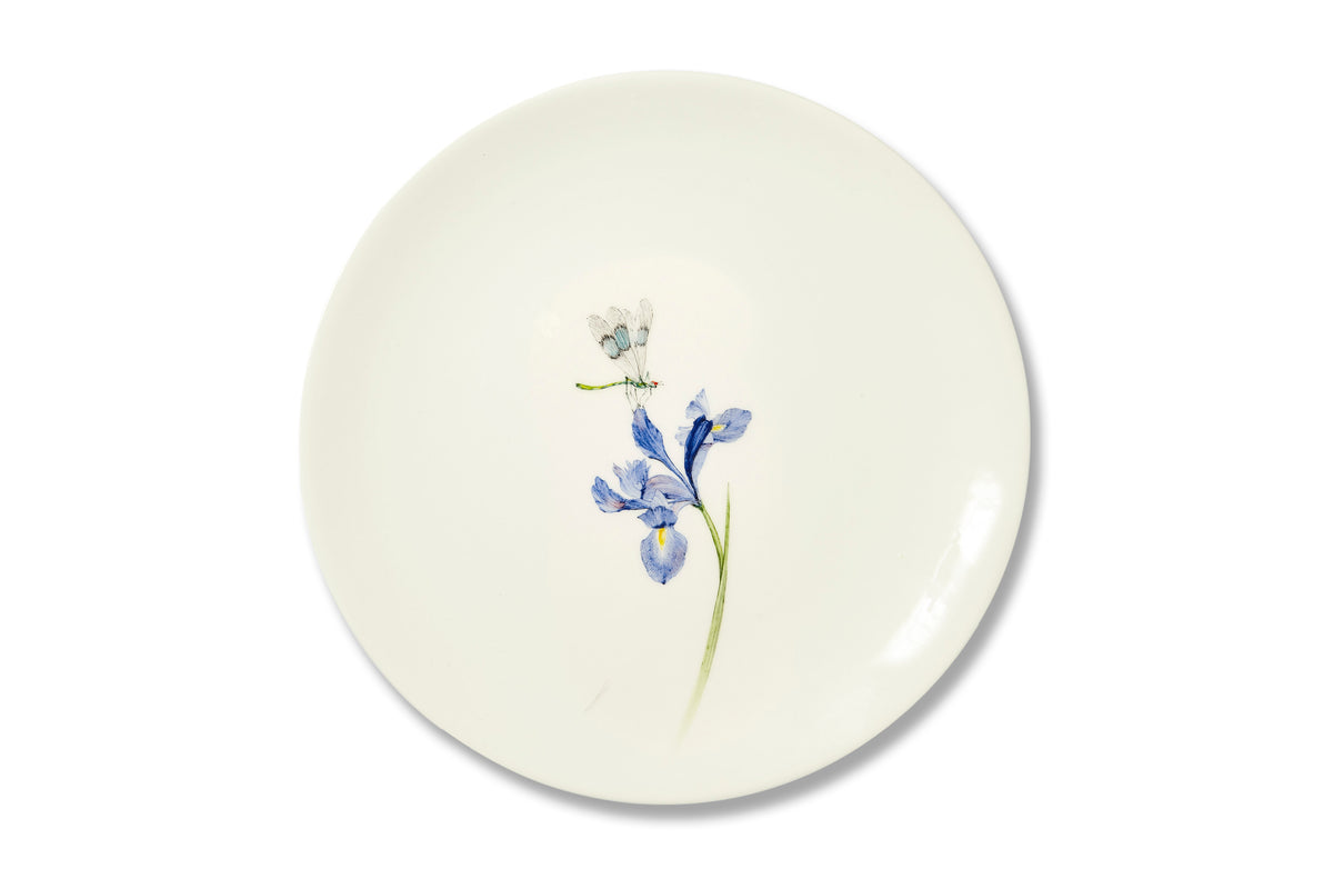 Bloom Plates, Set of 12