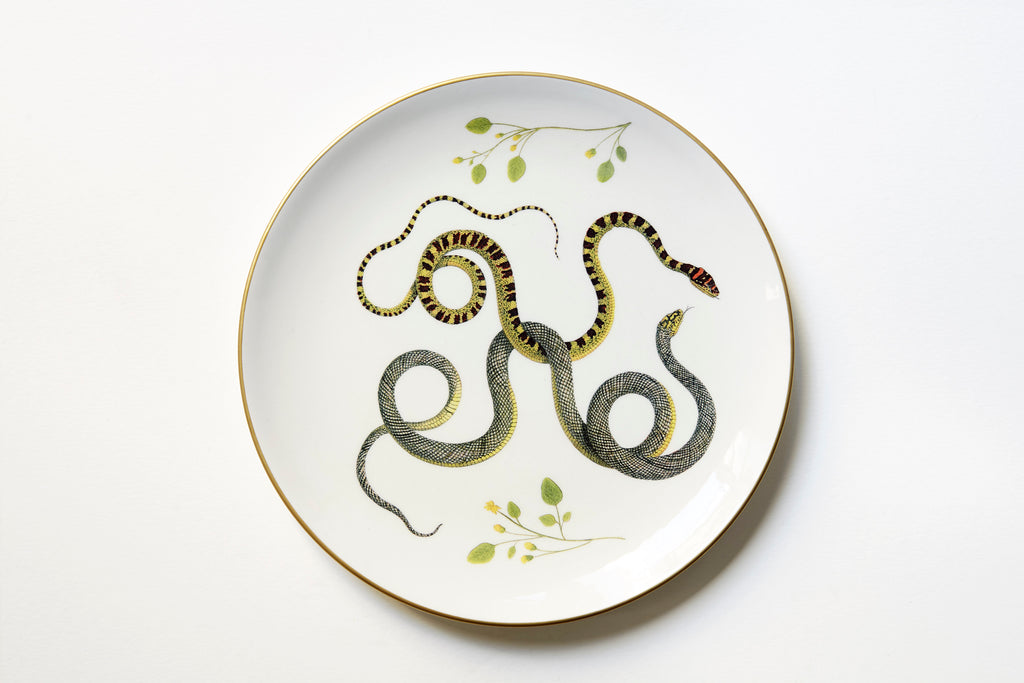 Serpentine Dinner Plate, Set of 6