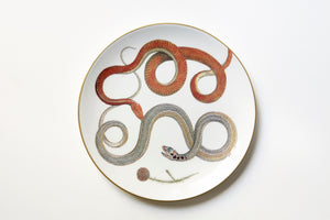 Serpentine Dinner Plate, Set of 6