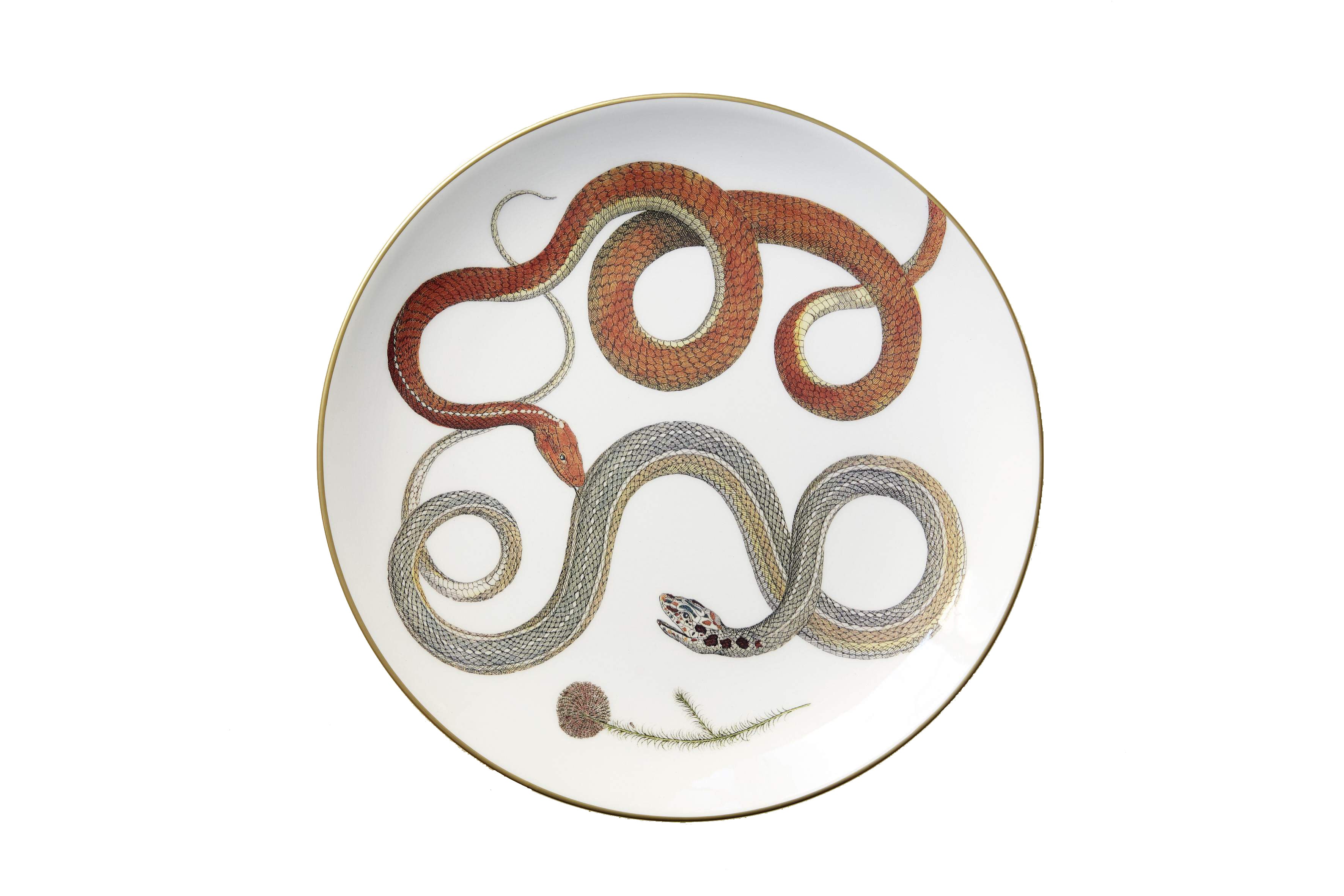 Serpentine Dinner Plate in Red Serpentines