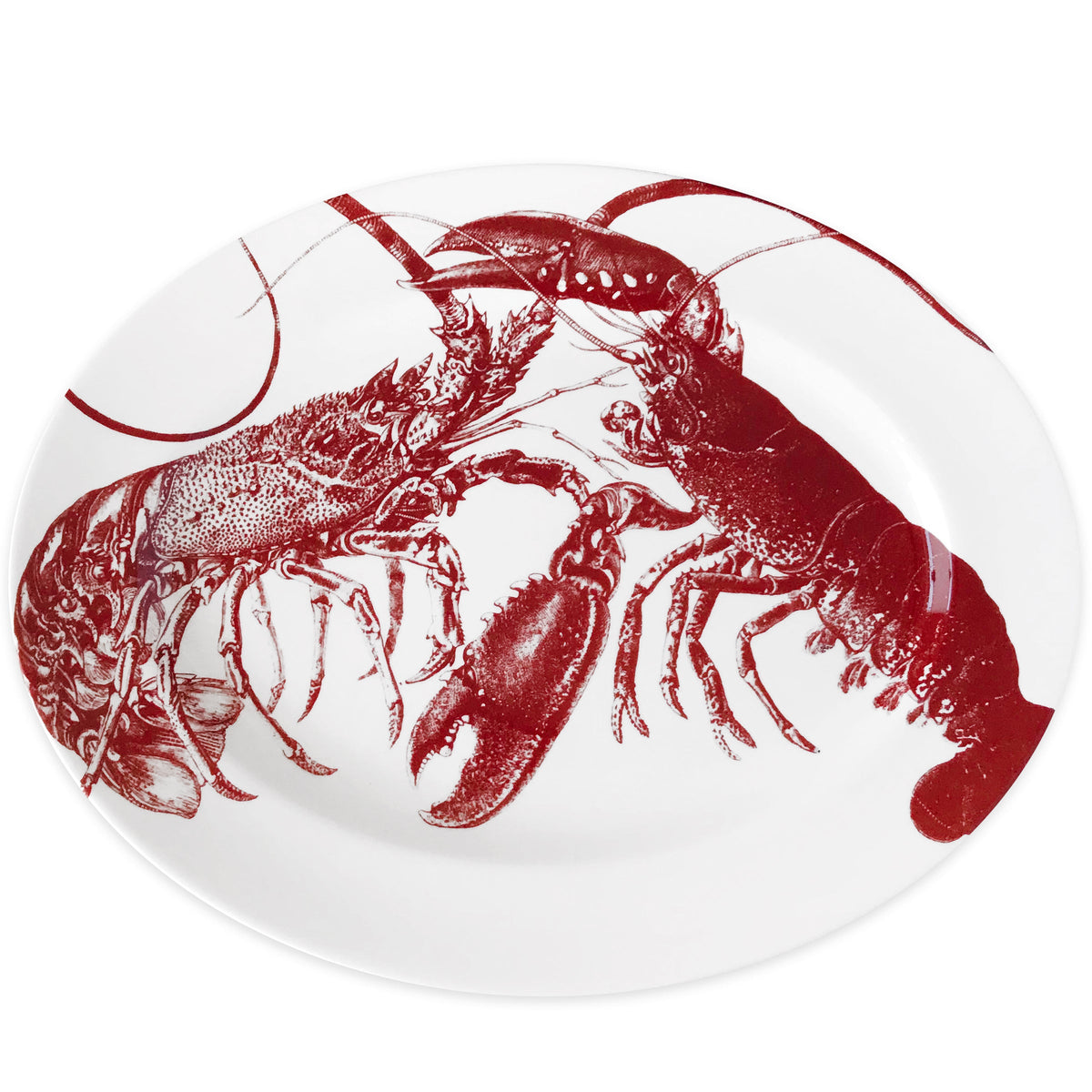 Angled view of Red Lobster Large Oval Rimmed Platter showcasing hand drawn red lobster illustrations on white porcelain with white background